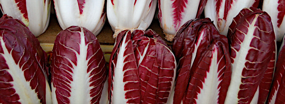 Radicchio rosso